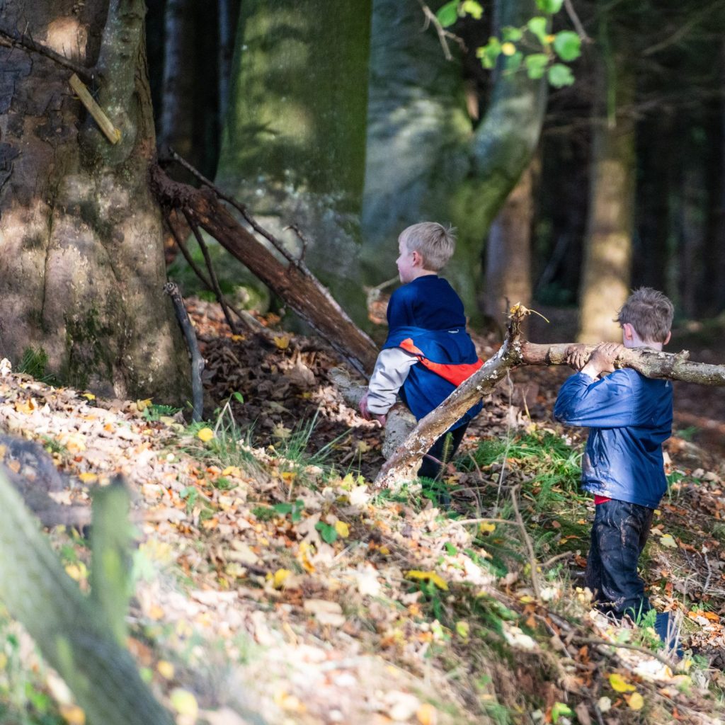 kids in woods